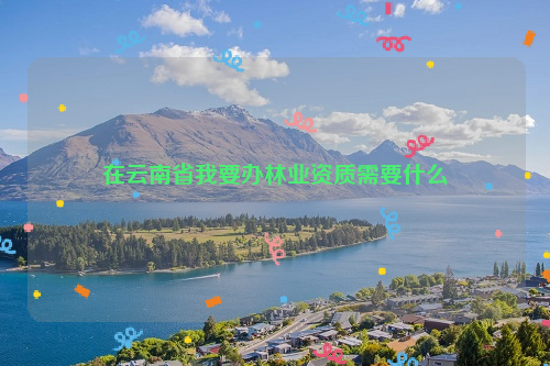 在云南省我要辦林業資質需要什么