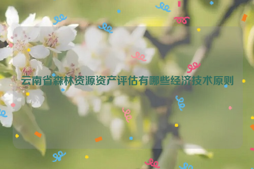 云南省森林資源資產評估有哪些經濟技術原則