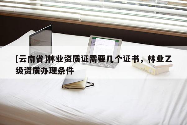 [云南省]林業(yè)資質(zhì)證需要幾個證書，林業(yè)乙級資質(zhì)辦理條件