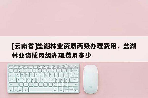 [云南省]鹽湖林業資質丙級辦理費用，鹽湖林業資質丙級辦理費用多少