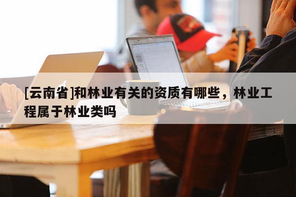 [云南省]和林業有關的資質有哪些，林業工程屬于林業類嗎