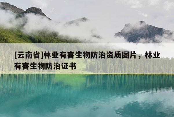 [云南省]林業有害生物防治資質圖片，林業有害生物防治證書
