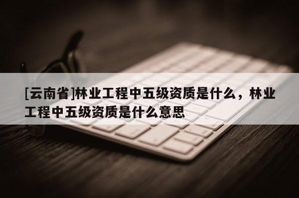 [云南省]林業工程中五級資質是什么，林業工程中五級資質是什么意思