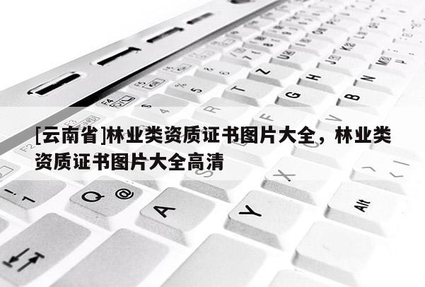 [云南省]林業類資質證書圖片大全，林業類資質證書圖片大全高清