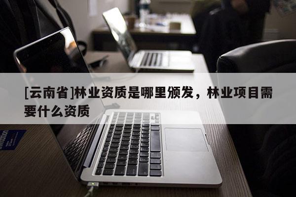 [云南省]林業資質是哪里頒發，林業項目需要什么資質