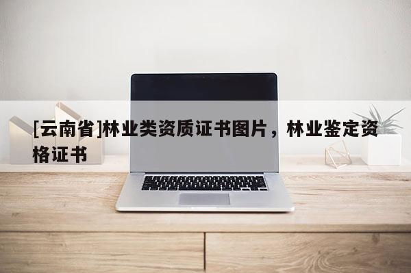 [云南省]林業類資質證書圖片，林業鑒定資格證書