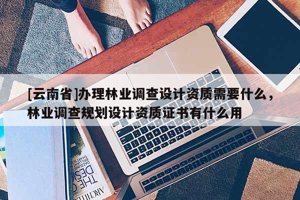 [云南省]辦理林業(yè)調查設計資質需要什么，林業(yè)調查規(guī)劃設計資質證書有什么用