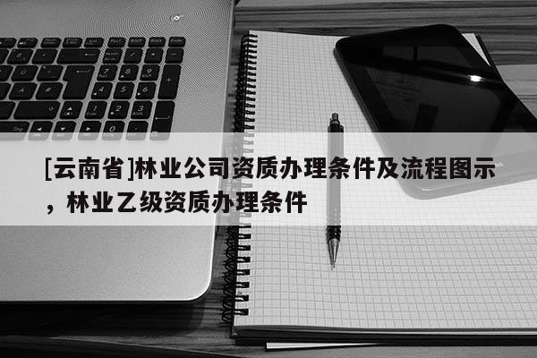 [云南省]林業(yè)公司資質(zhì)辦理條件及流程圖示，林業(yè)乙級資質(zhì)辦理條件