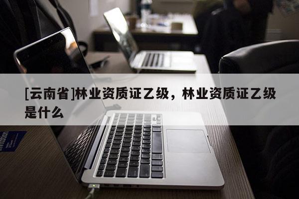 [云南省]林業資質證乙級，林業資質證乙級是什么