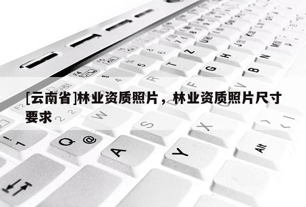 [云南省]林業資質照片，林業資質照片尺寸要求