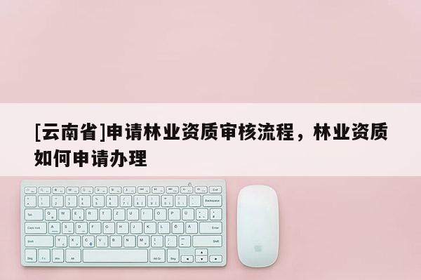 [云南省]申請林業資質審核流程，林業資質如何申請辦理