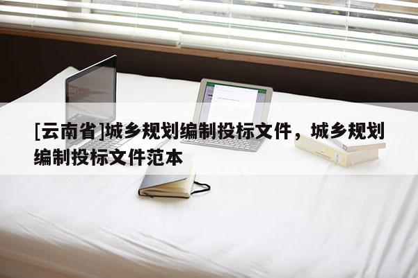 [云南省]城鄉(xiāng)規(guī)劃編制投標(biāo)文件，城鄉(xiāng)規(guī)劃編制投標(biāo)文件范本