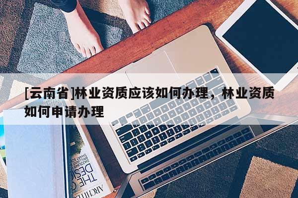 [云南省]林業資質應該如何辦理，林業資質如何申請辦理