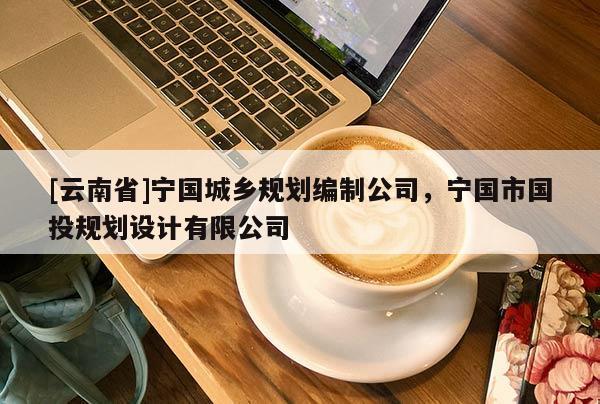 [云南省]寧國城鄉規劃編制公司，寧國市國投規劃設計有限公司