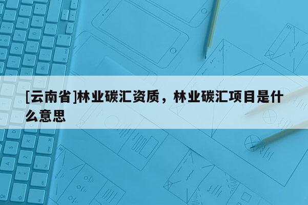 [云南省]林業碳匯資質，林業碳匯項目是什么意思