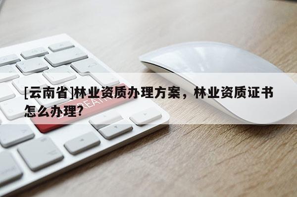 [云南省]林業資質辦理方案，林業資質證書怎么辦理?