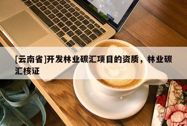 [云南省]開發林業碳匯項目的資質，林業碳匯核證