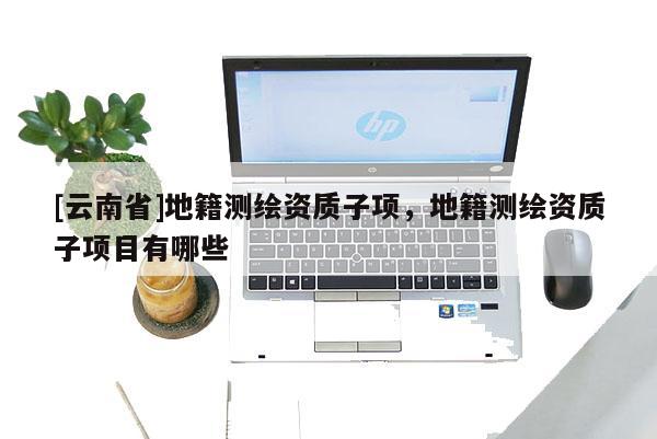 [云南省]地籍測(cè)繪資質(zhì)子項(xiàng)，地籍測(cè)繪資質(zhì)子項(xiàng)目有哪些