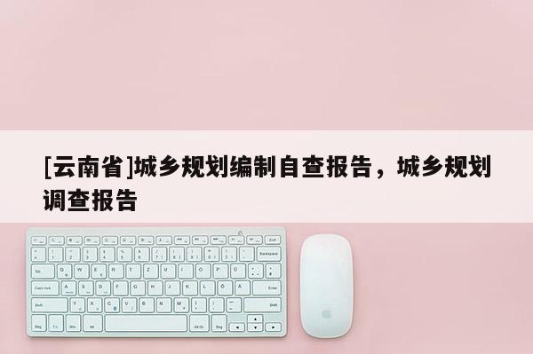 [云南省]城鄉(xiāng)規(guī)劃編制自查報告，城鄉(xiāng)規(guī)劃調查報告