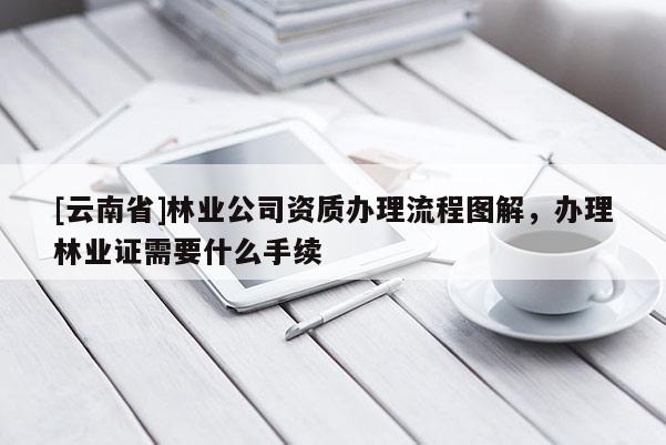 [云南省]林業公司資質辦理流程圖解，辦理林業證需要什么手續