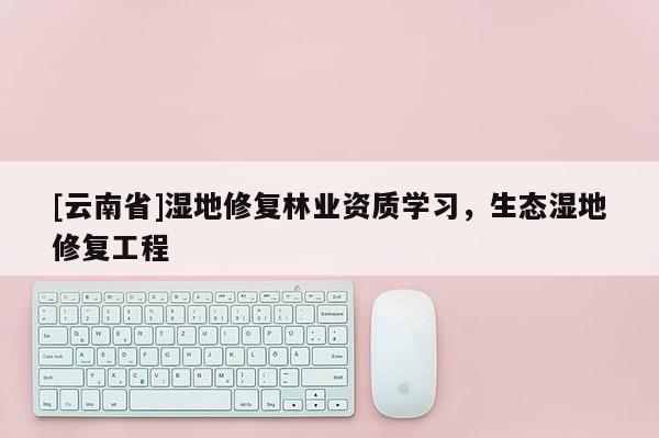 [云南省]濕地修復林業資質學習，生態濕地修復工程