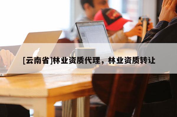 [云南省]林業(yè)資質(zhì)代理，林業(yè)資質(zhì)轉(zhuǎn)讓