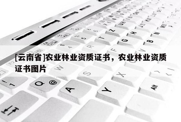 [云南省]農(nóng)業(yè)林業(yè)資質(zhì)證書，農(nóng)業(yè)林業(yè)資質(zhì)證書圖片