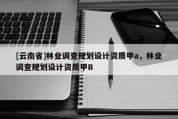 [云南省]林業調查規劃設計資質甲a，林業調查規劃設計資質甲B