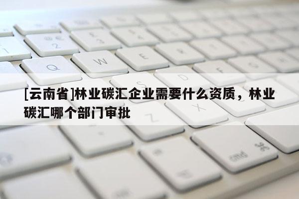 [云南省]林業(yè)碳匯企業(yè)需要什么資質(zhì)，林業(yè)碳匯哪個(gè)部門(mén)審批