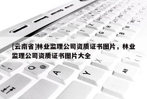 [云南省]林業監理公司資質證書圖片，林業監理公司資質證書圖片大全