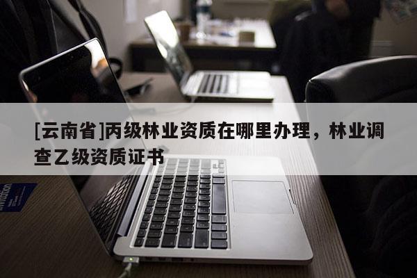 [云南省]丙級林業資質在哪里辦理，林業調查乙級資質證書
