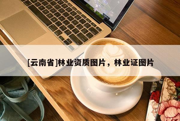 [云南省]林業(yè)資質(zhì)圖片，林業(yè)證圖片