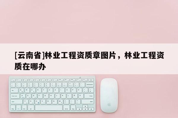 [云南省]林業工程資質章圖片，林業工程資質在哪辦