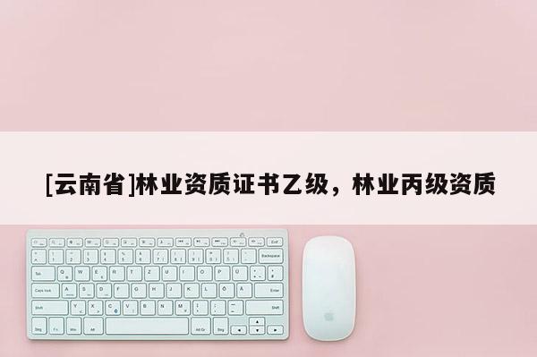 [云南省]林業資質證書乙級，林業丙級資質