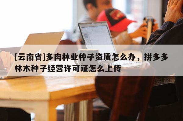 [云南省]多肉林業(yè)種子資質(zhì)怎么辦，拼多多林木種子經(jīng)營許可證怎么上傳