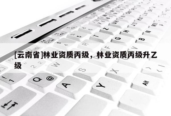 [云南省]林業資質丙級，林業資質丙級升乙級