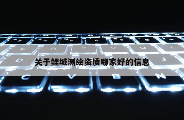 關于鯉城測繪資質哪家好的信息
