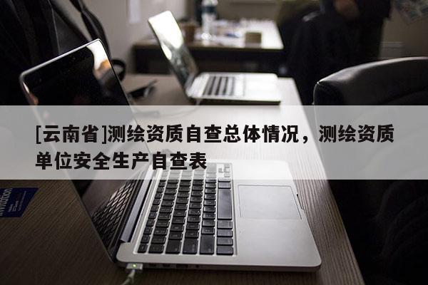 [云南省]測繪資質自查總體情況，測繪資質單位安全生產自查表