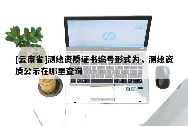 [云南省]測繪資質證書編號形式為，測繪資質公示在哪里查詢
