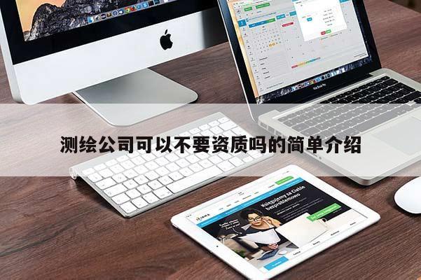 測繪公司可以不要資質嗎的簡單介紹