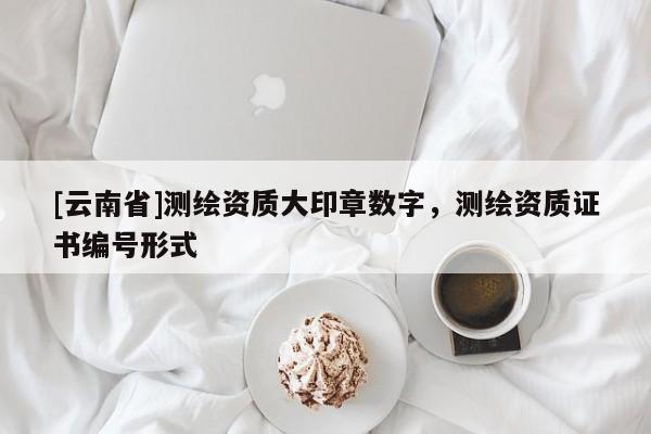 [云南省]測繪資質大印章數字，測繪資質證書編號形式