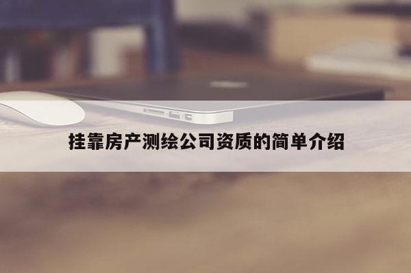 掛靠房產測繪公司資質的簡單介紹