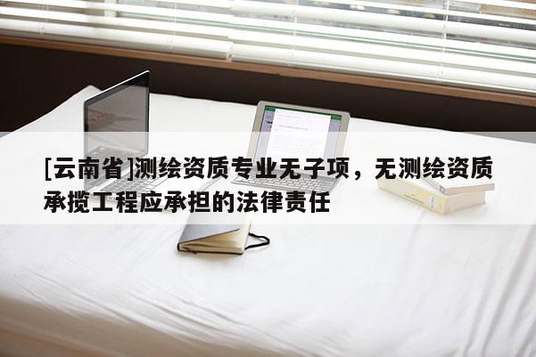 [云南省]測繪資質(zhì)專業(yè)無子項，無測繪資質(zhì)承攬工程應(yīng)承擔(dān)的法律責(zé)任
