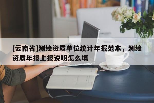 [云南省]測繪資質單位統計年報范本，測繪資質年報上報說明怎么填