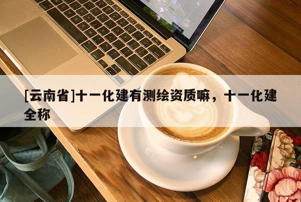 [云南省]十一化建有測(cè)繪資質(zhì)嘛，十一化建全稱