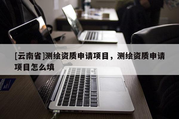 [云南省]測繪資質申請項目，測繪資質申請項目怎么填