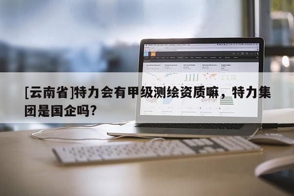[云南省]特力會有甲級測繪資質嘛，特力集團是國企嗎?