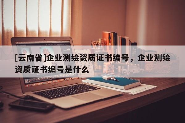 [云南省]企業(yè)測(cè)繪資質(zhì)證書(shū)編號(hào)，企業(yè)測(cè)繪資質(zhì)證書(shū)編號(hào)是什么