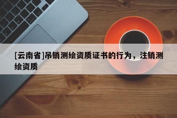 [云南省]吊銷測繪資質證書的行為，注銷測繪資質