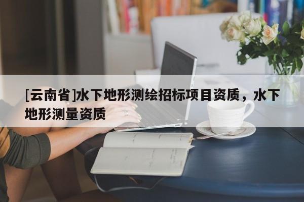 [云南省]水下地形測繪招標項目資質，水下地形測量資質